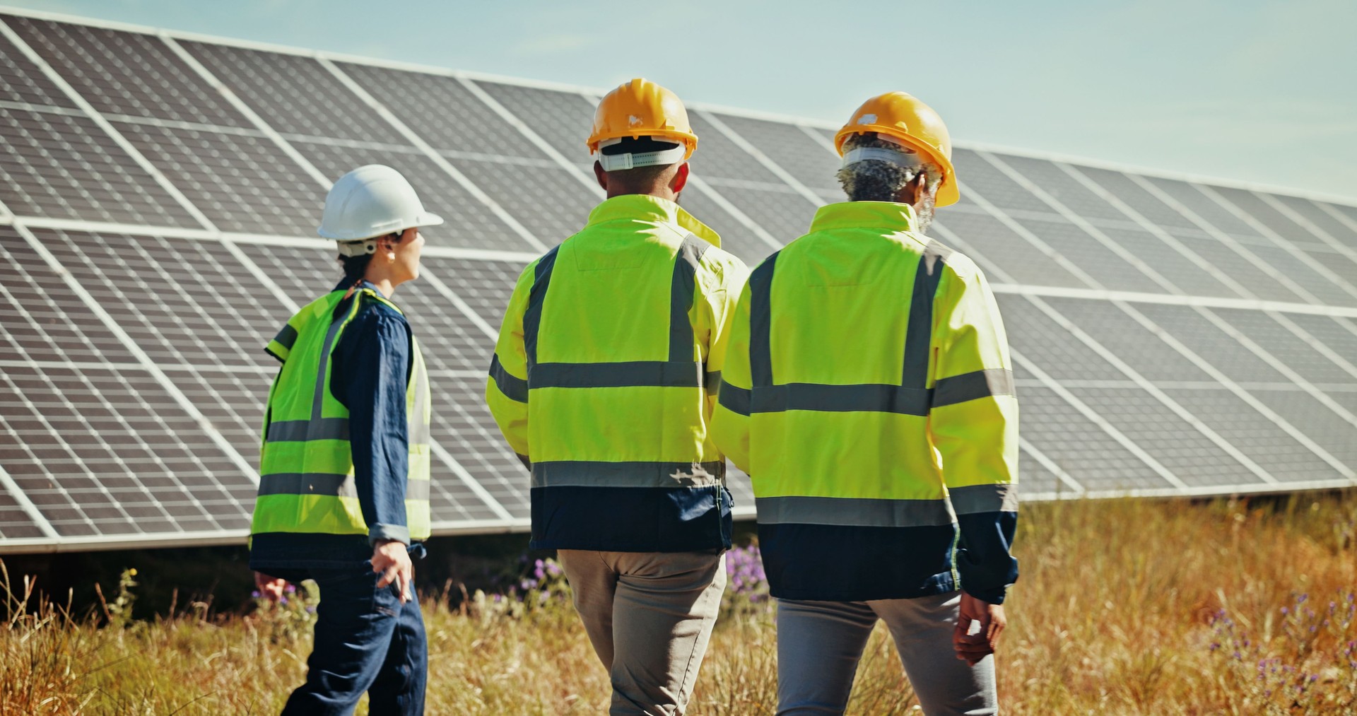 Solar panel, walking and back with people, inspection and cooperation for renewable energy project. Group, climate change and employees in field, sustainability and eco friendly with quality control