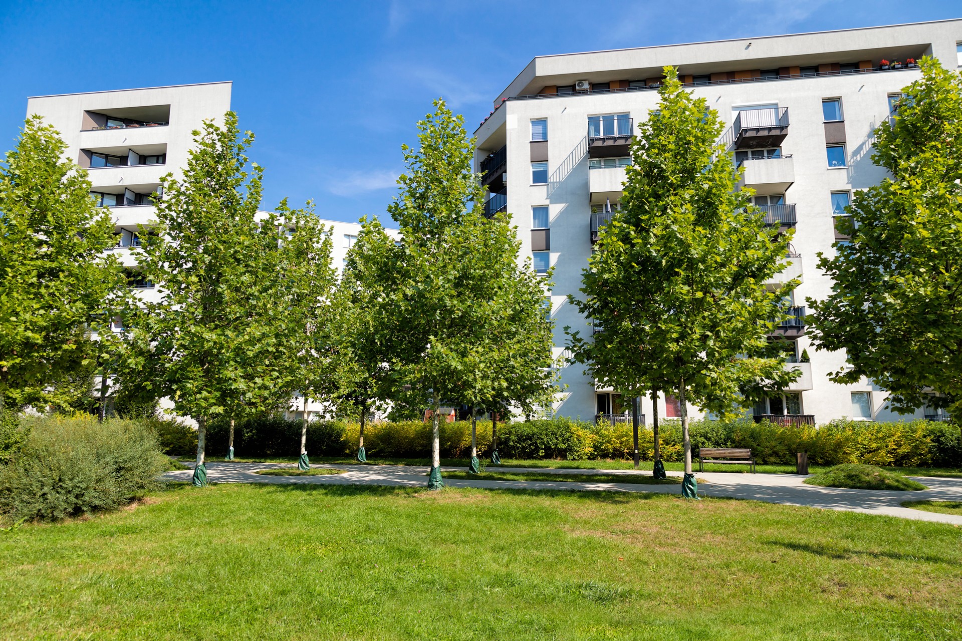 Residential Area with Apartment Buildings and Public Park